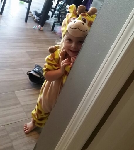 peeking giraffe